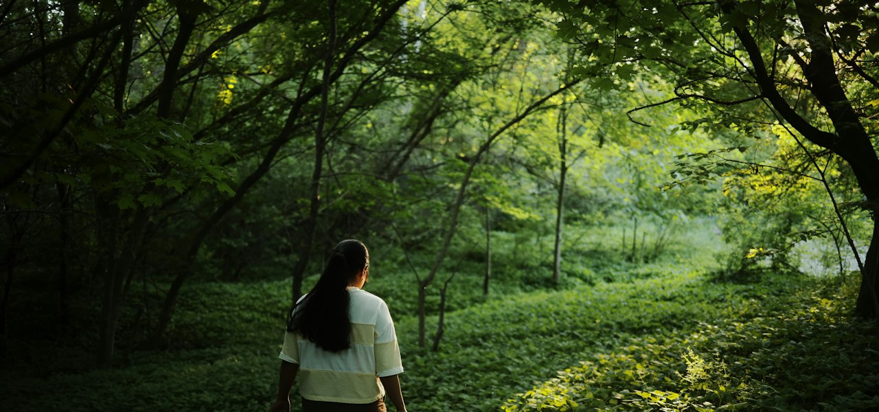 A 90-minute walk in nature, but not along a busy road, quieted a brain region linked to brooding over negative thoughts
